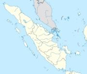 List of hominoids is located in Sumatra