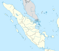 Tapanuli orangutan is located in Sumatra