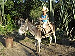 Las Yaguas, Marea del Portillo Horse riding tour.jpg