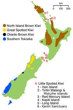 NZ-kiwimap 5 species.png