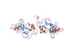 PDB 2bn2 EBI.jpg