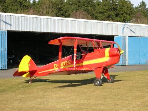 Platzer Kiebitz D-MTEE.jpg