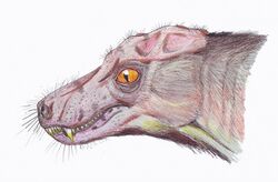 Porosteognathus1DB.jpg