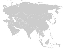Pycnonotus penicillatus distribution map.png