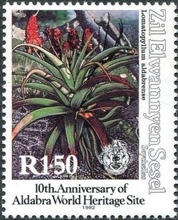 Stamp of Seychelles - Zil Eloigne Sesel - 1992 - Colnect 660816 - Lomatopyllum aldabrense.jpeg