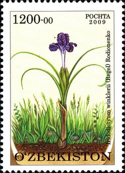 Stamps of Uzbekistan, 2010-02.jpg