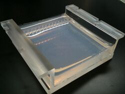 Two percent Agarose Gel in Borate Buffer cast in a Gel Tray (Front, angled).jpg
