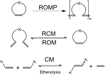 Classification of Olefin metathesis reactions