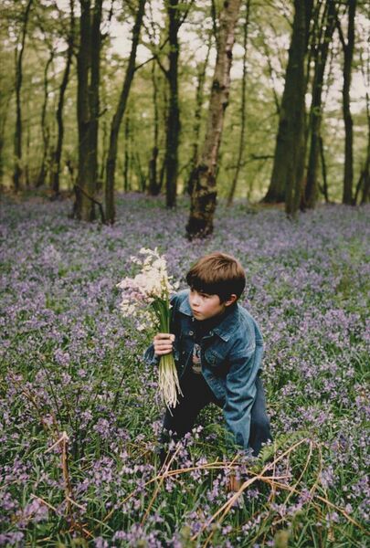 File:Young boy picking hyacinths in Normandy - 1993.jpg