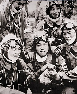 72nd Shinbu 1945 Kamikaze.jpg