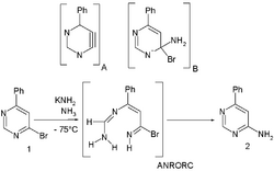 ANRORC overview.png