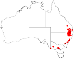 Acacia pruinosaDistMap724.png