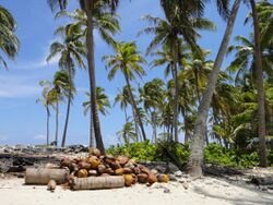 Booby Island (4906555482).jpg