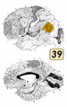 Thumbnail for version as of 08:00, 4 October 2022