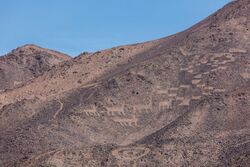 Cerros Pintados geoglyphs, Pampa del Tamarugal National Reserve
