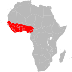 Chamaeleo senegalensis range.png