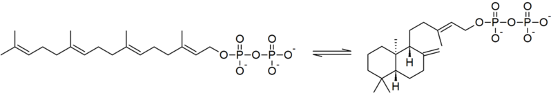 File:Ent-CDP synthase reaction.png