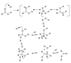 Fischer esterification mechanism.svg