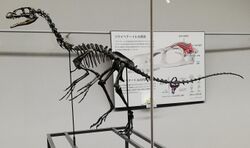Fukui Prefectural Dinosaur Museum 20210504 23.jpg