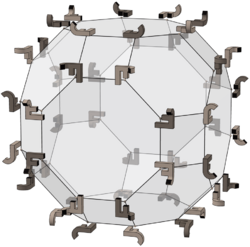 Full octahedral group elements in truncated cuboctahedron; JF.png
