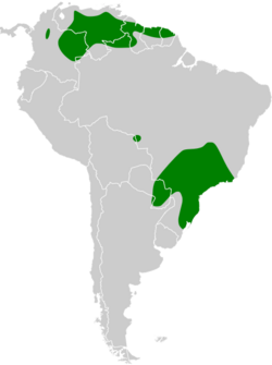 Gallinago undulata map.svg