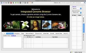 Integrated Genome Browser version 9.1.0 home screen.png