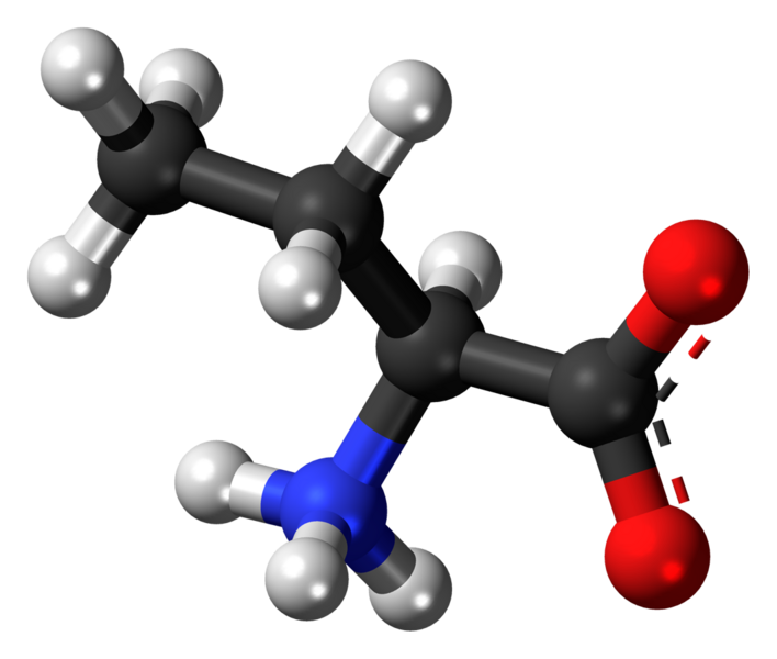 File:L-Butyrine-zwitterion-3D-balls.png