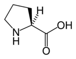 L-proline-skeletal.png