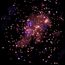 NGC6231 Chandra.jpg