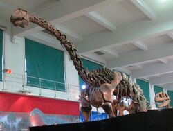 Patagosaurus (1).jpg