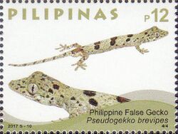 Pseudogekko brevipes 2017 stamp of the Philippines.jpg