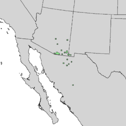 Quercus toumeyi range map 1.png