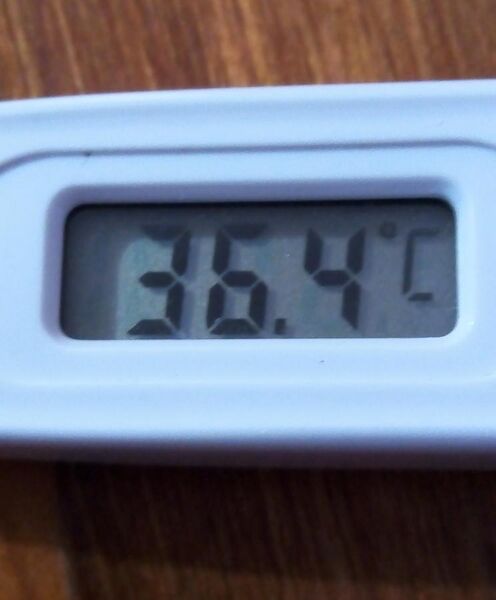 File:Room Temperature during Heat wave in Mexico.jpg