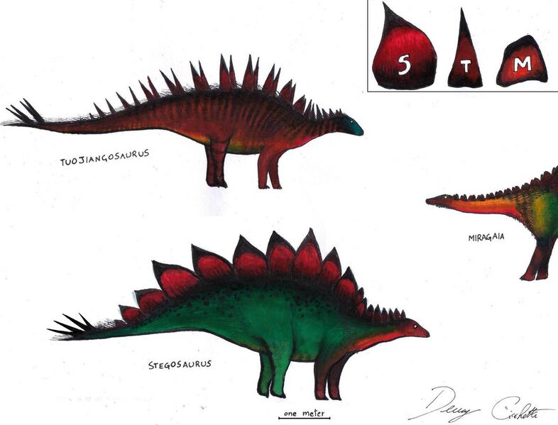 File:Stegosauridae Trinity.jpg
