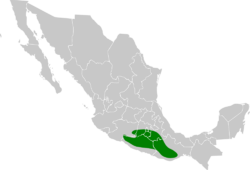 Xenotriccus mexicanus map.svg