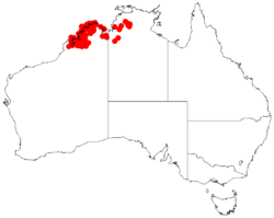 Acacia stigmatophyllaDistMap855.png