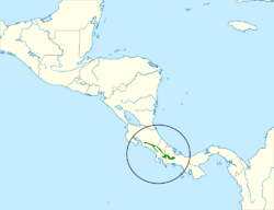 Arremon costaricensis map.svg