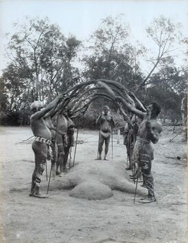 Charles Kerry - An Aboriginal Bora Ceremony, 1898.jpg