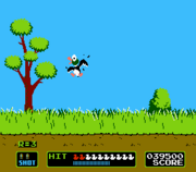 Duck hunt pic.PNG