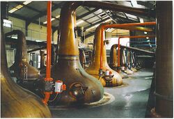 Glenfiddich Distillery stills.jpg