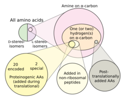 Nonproteinogenic AAs.svg