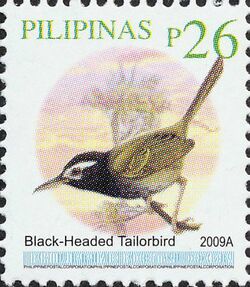 Orthotomus nigriceps 2009 stamp of the Philippines.jpg