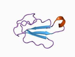 PDB 1ctx EBI.jpg