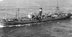 SS Mareeba.jpg