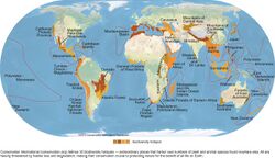 Biodiversity Hotspots Map.jpg