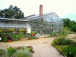 Botanischer Garten der TU Darmstadt - IMG 7032.JPG