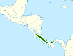 Chamaepetes unicolor map.svg