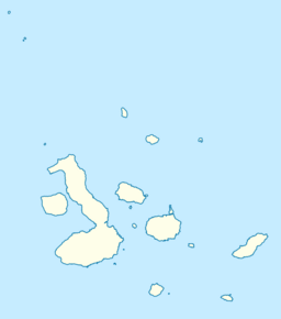 Alcedo is located in Galápagos Islands