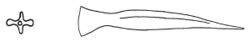 Marmorana scabriuscula dart.jpg