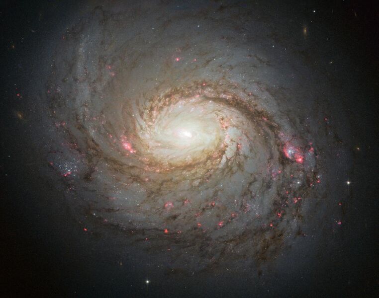 File:Messier 77 spiral galaxy by HST.jpg